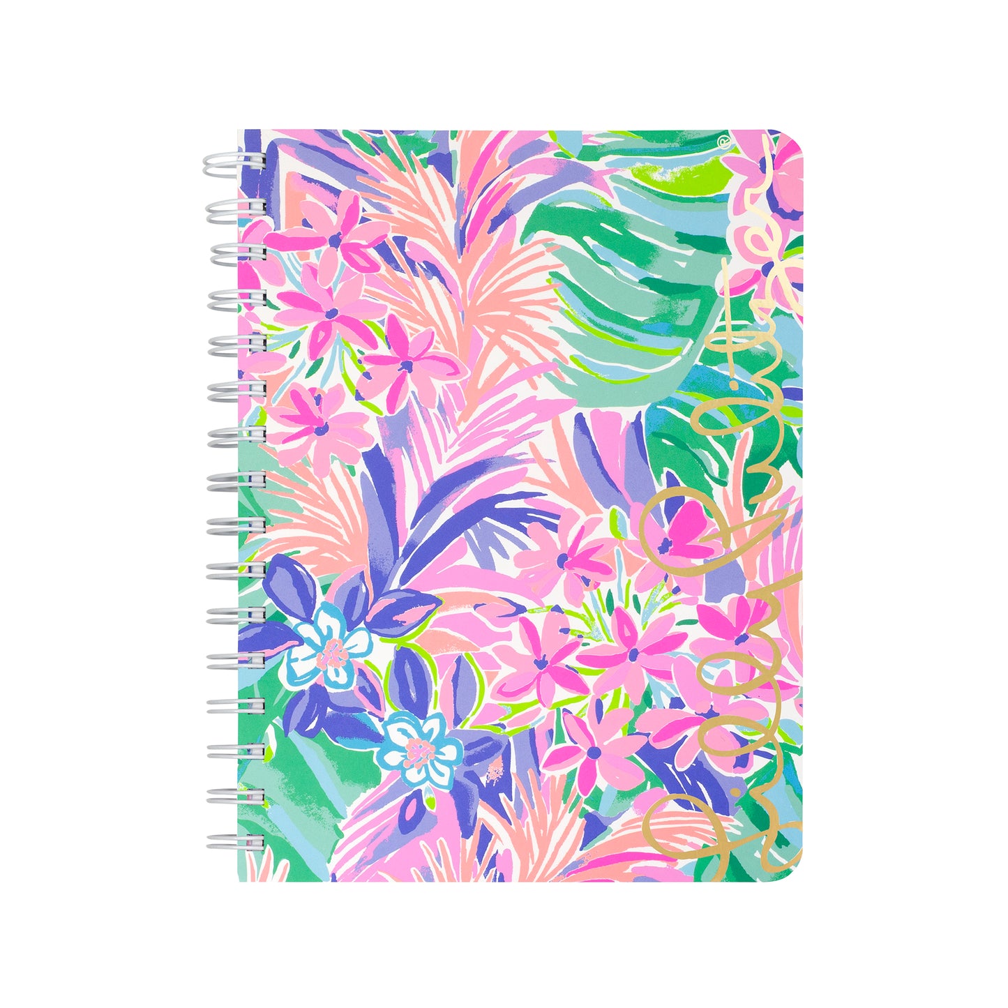 Mini Notebooks by Lilly Pulitzer