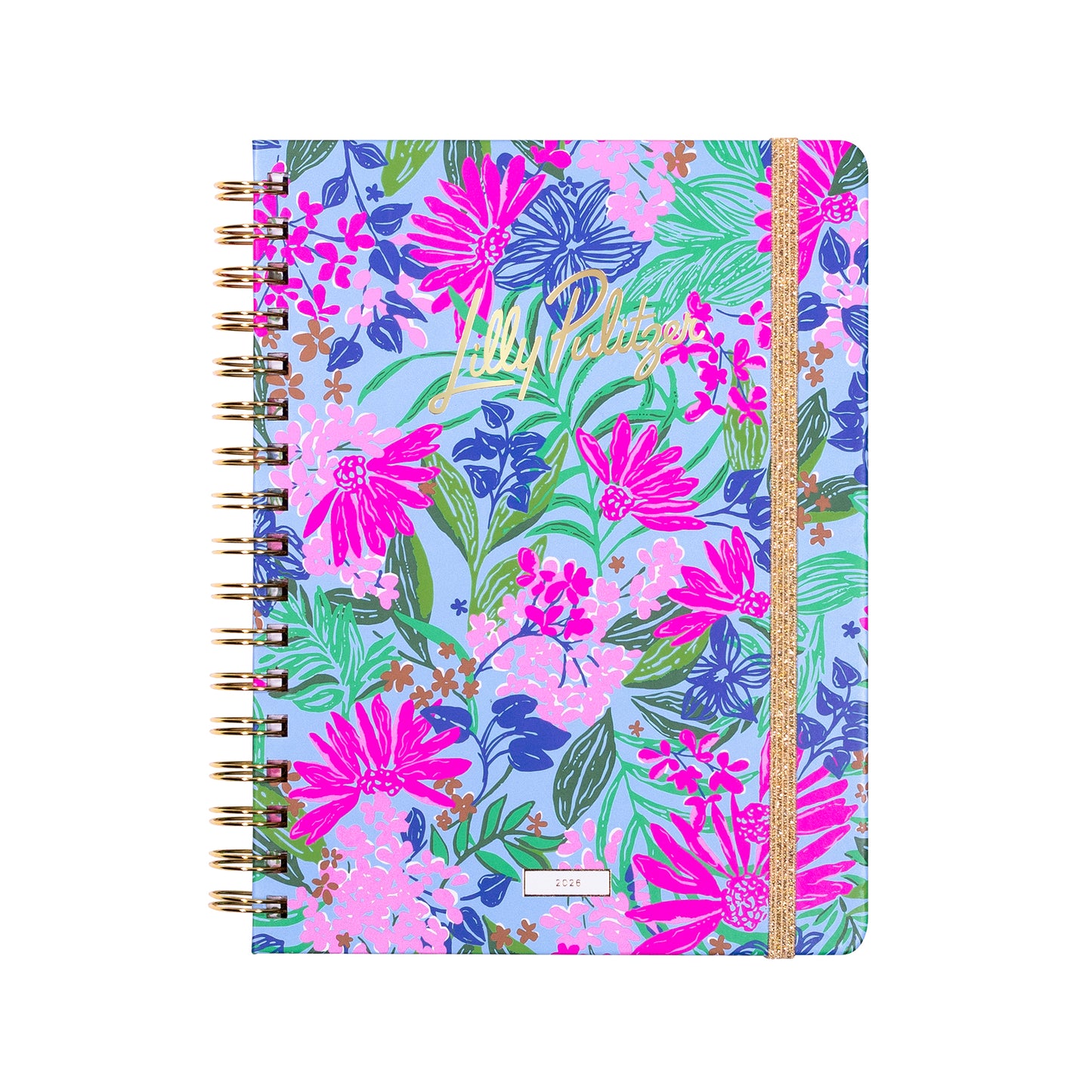 Large 12 Month Agenda