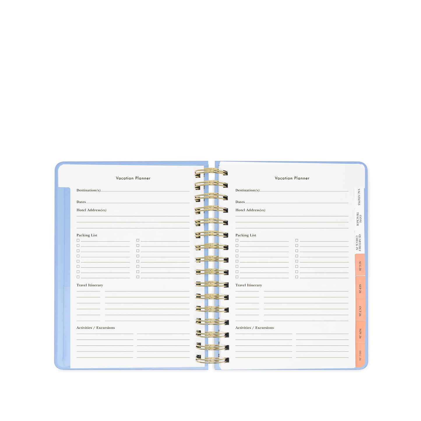 17 Month Large Planner, Plans I may Change