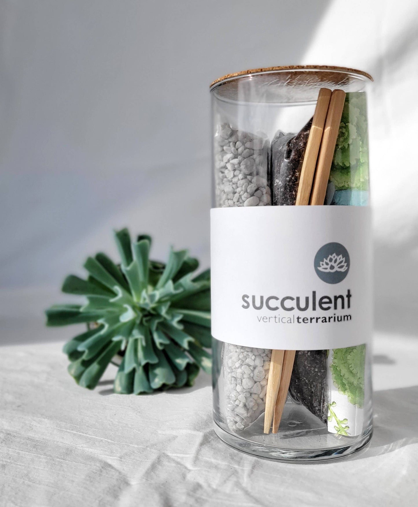 Vertical Succulent Terrarium: Vertical Terrarium