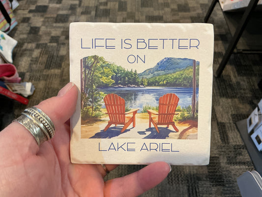 Better Lake Ariel Coaster