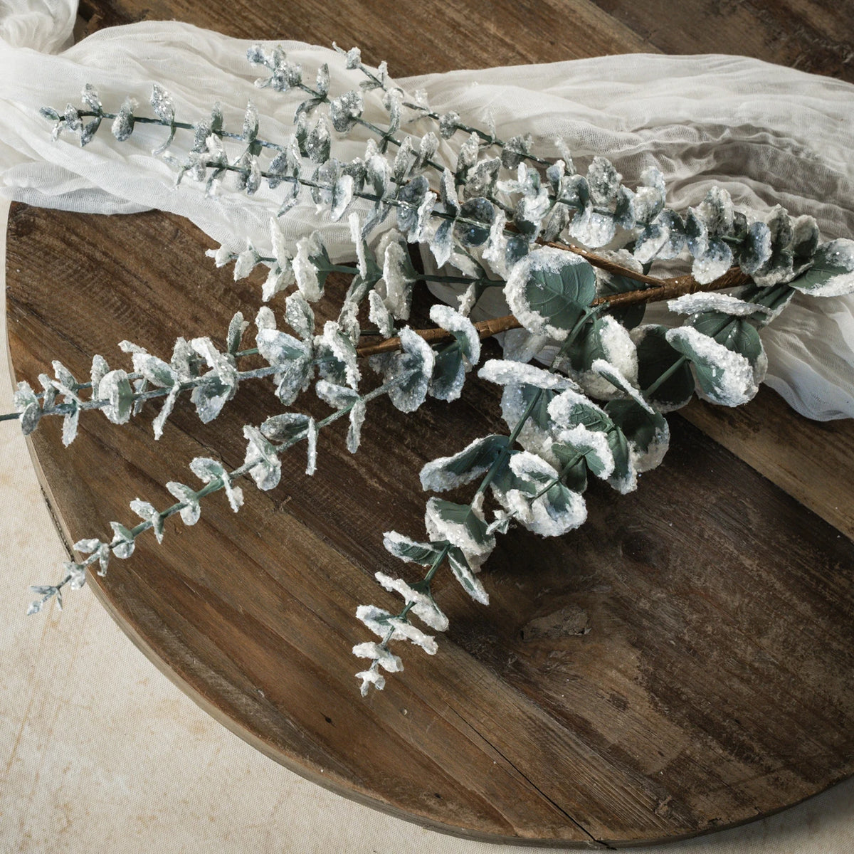 Snowy Eucalyptus Spray