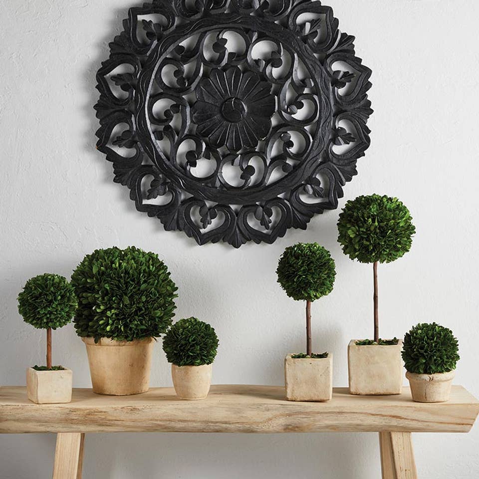 47th & Main (Creative Brands) - Topiary Square Boxwood - Small
