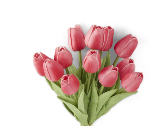 A Tulips 13.5" long, Real Touch