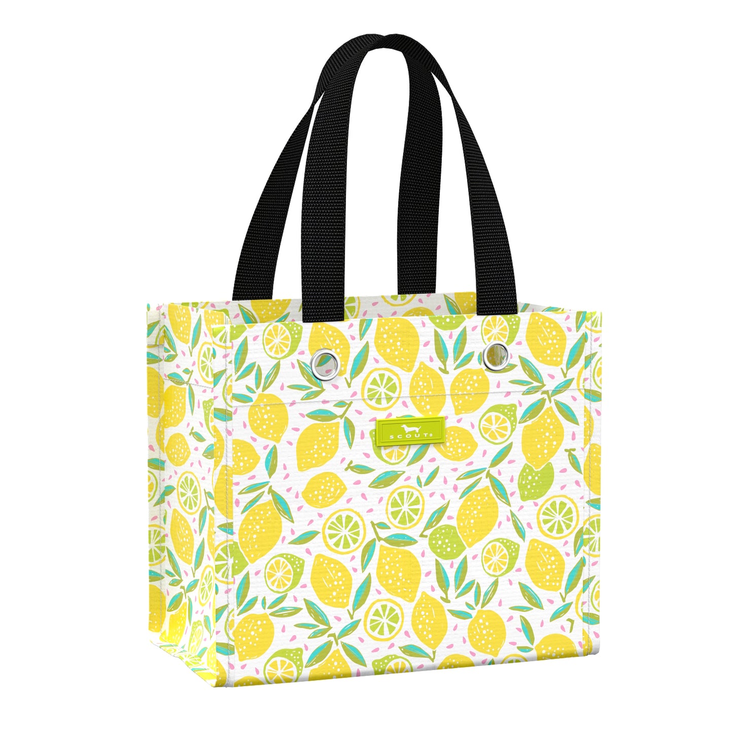 Six Packer Gift Bag by Scout