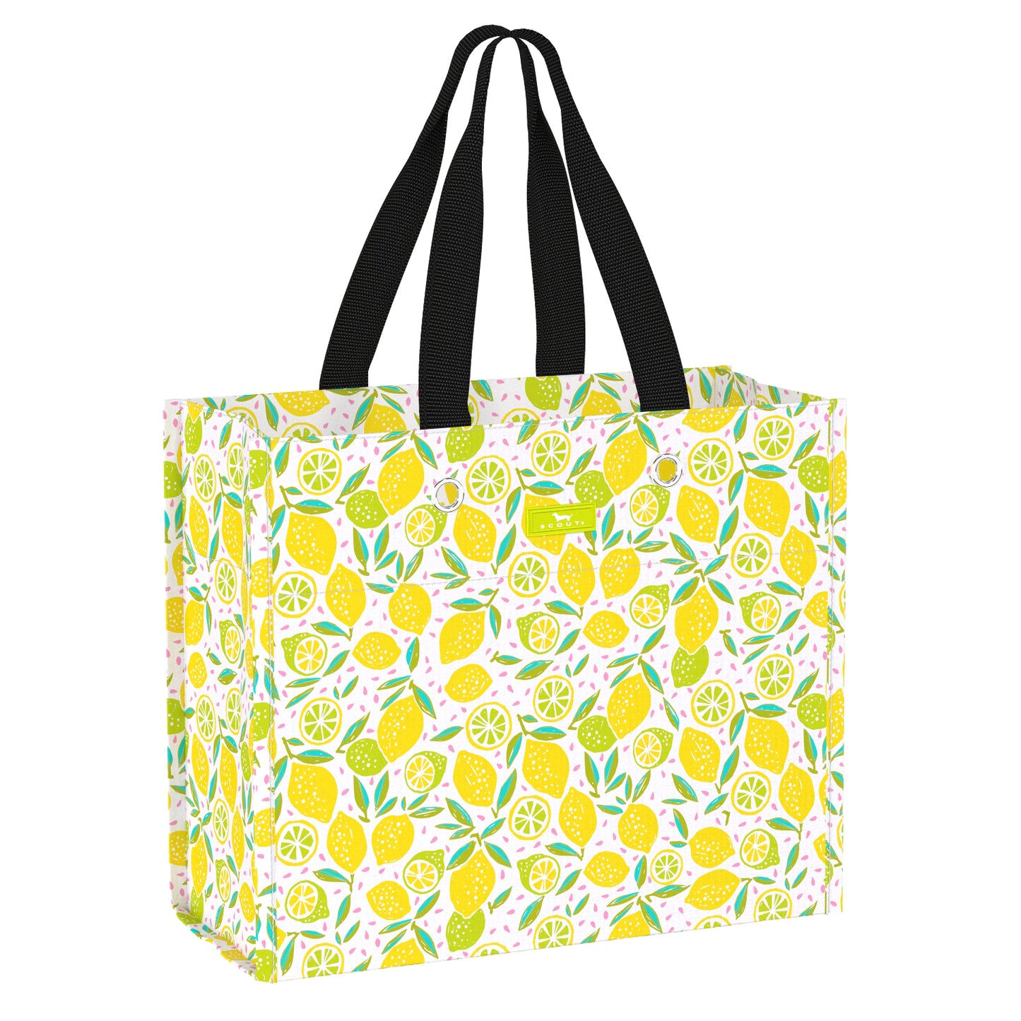 Large Package Gift Bag by Scout