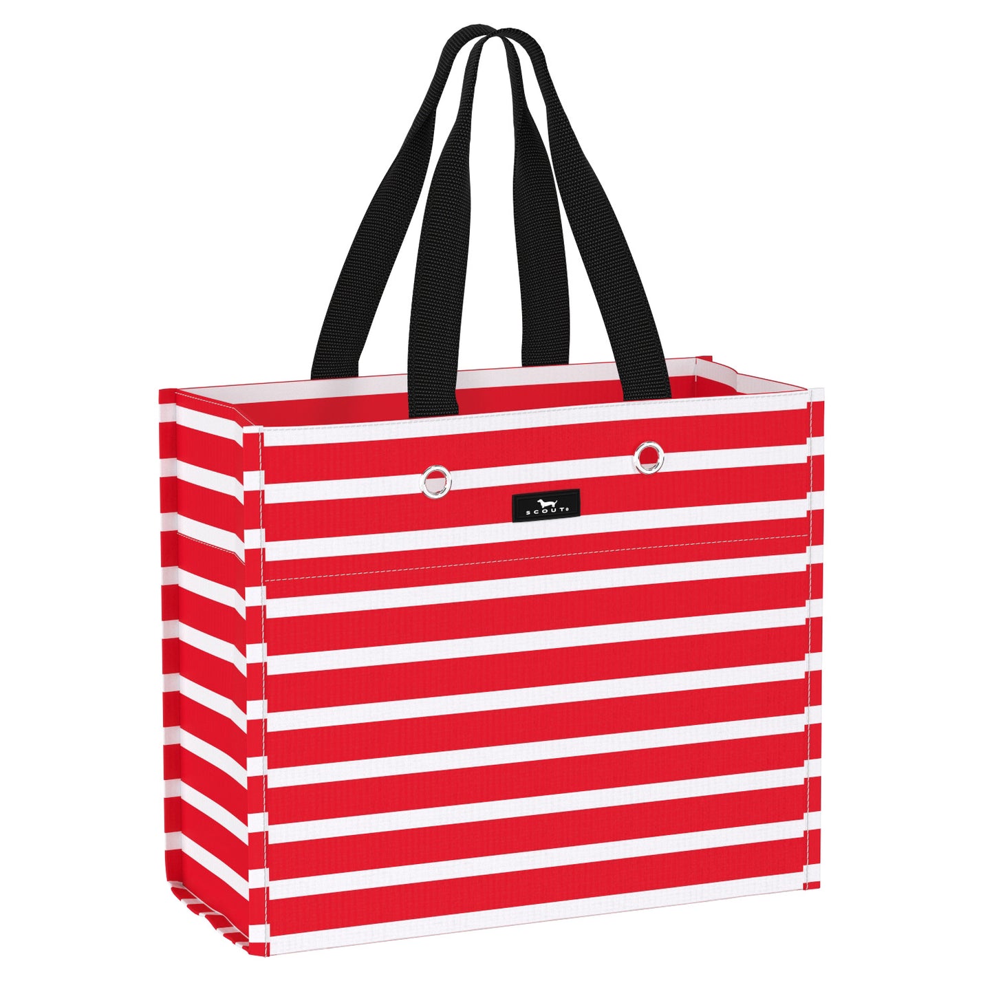 Large Package Gift Bag by Scout