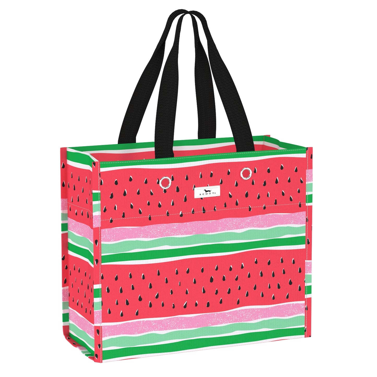 Large Package Gift Bag by Scout