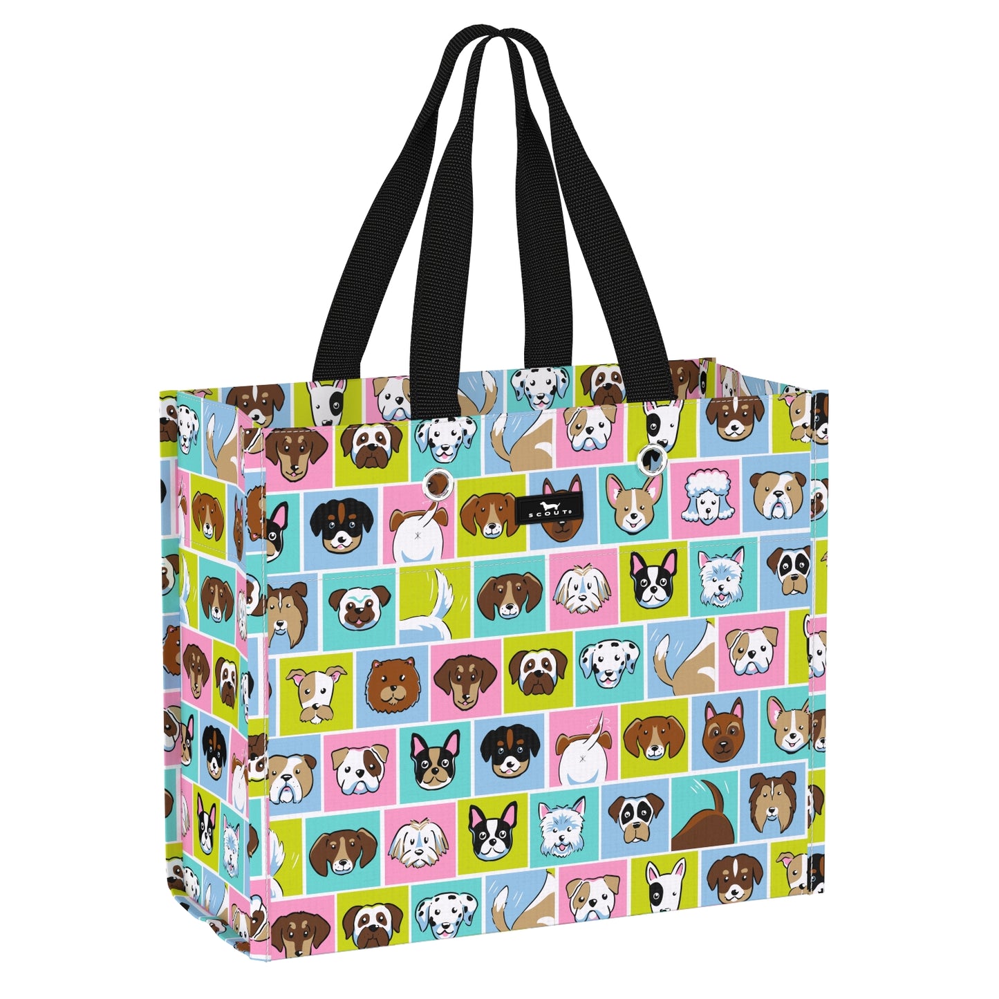 Large Package Gift Bag by Scout