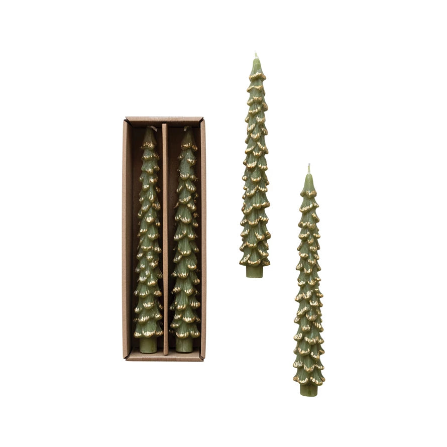 Gold Tipped Evergreen Tree Tapers