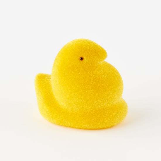Flocked Medium Chick
