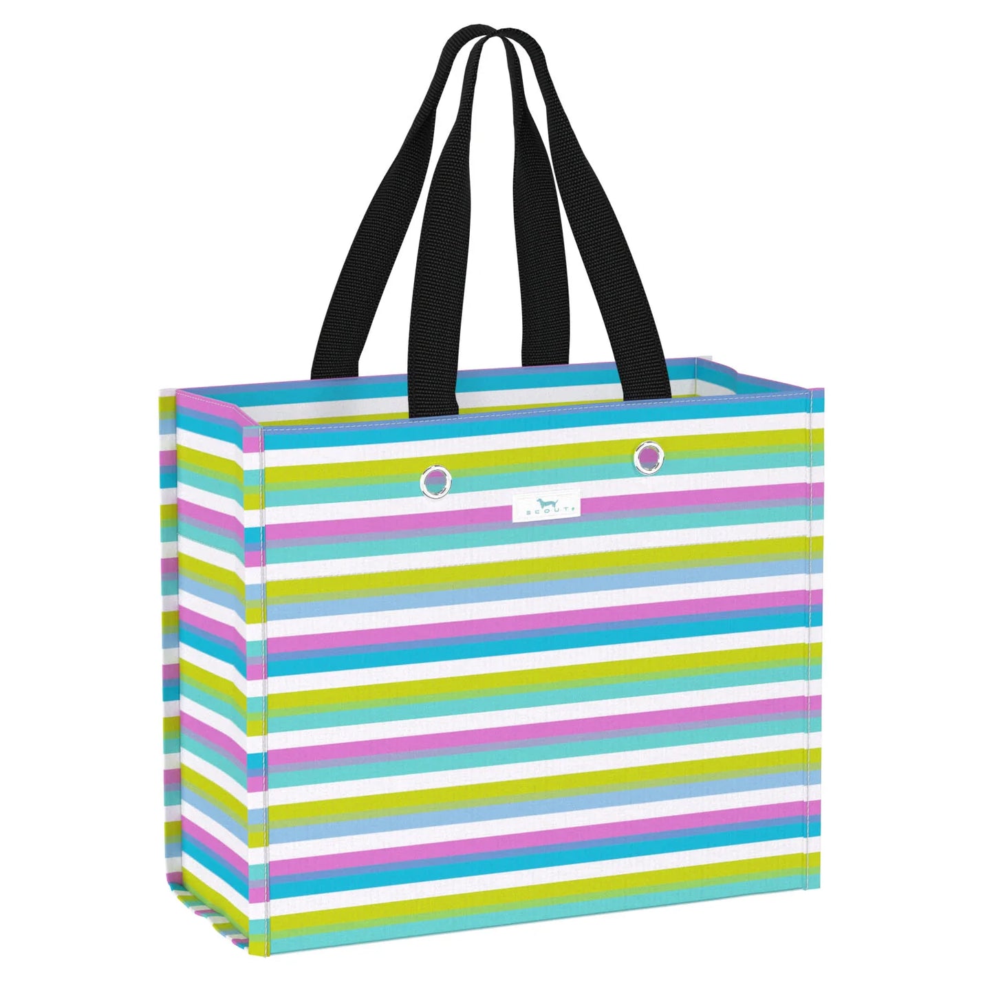 Large Package Gift Bag by Scout