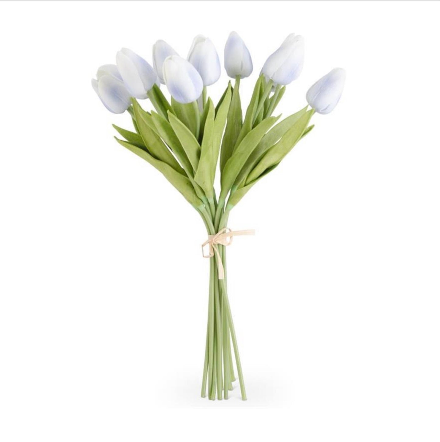A Tulips 13.5" long, Real Touch
