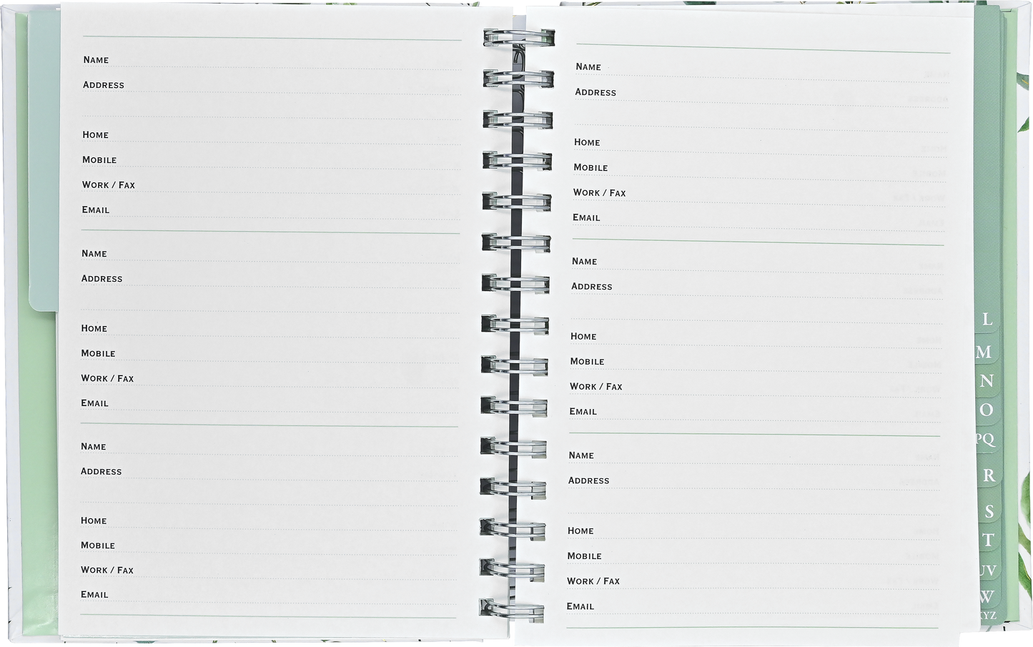 Eucalyptus Large Address Book