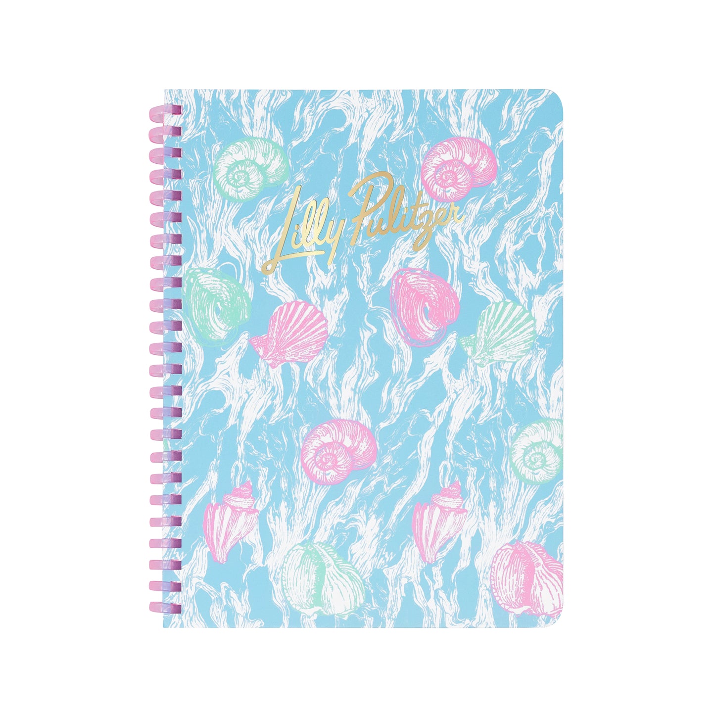 Mini Notebook, Shelden Shells