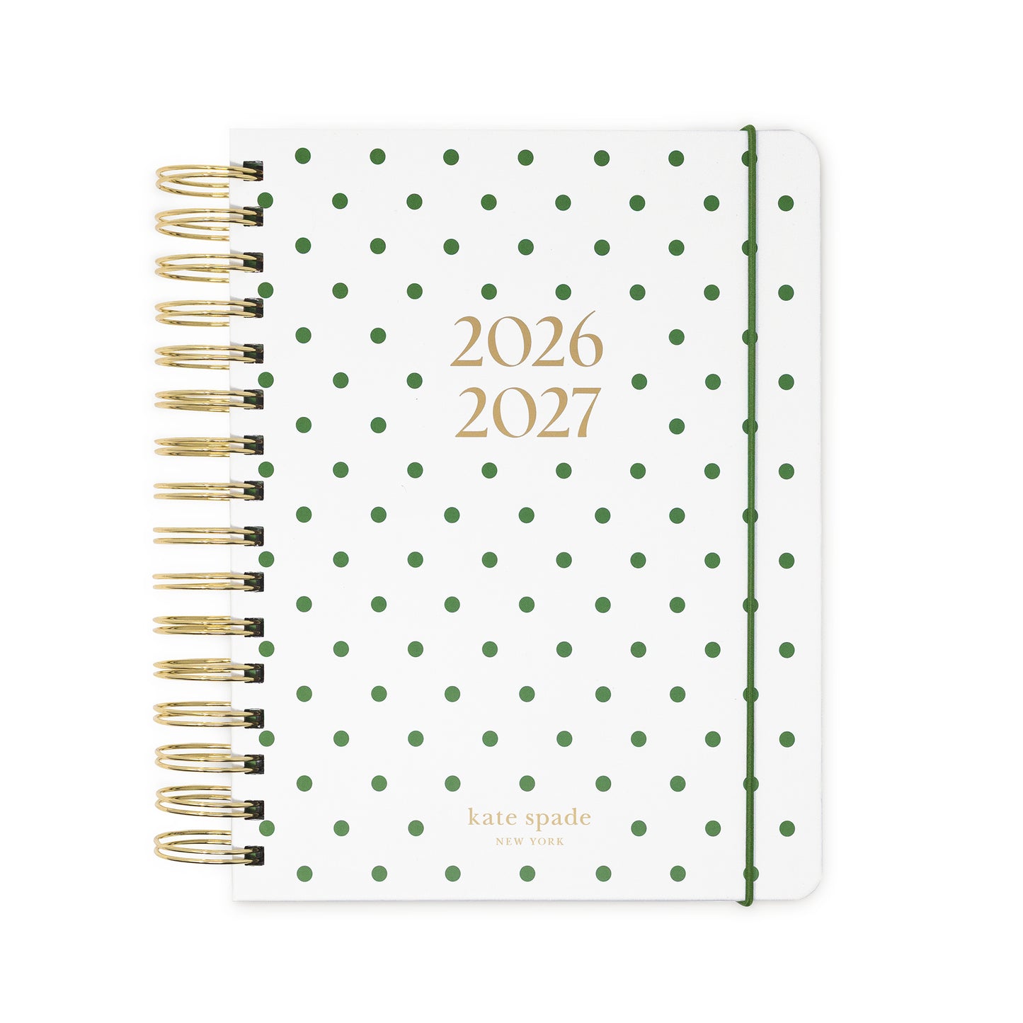 17 Month Large Planner, Green Dot