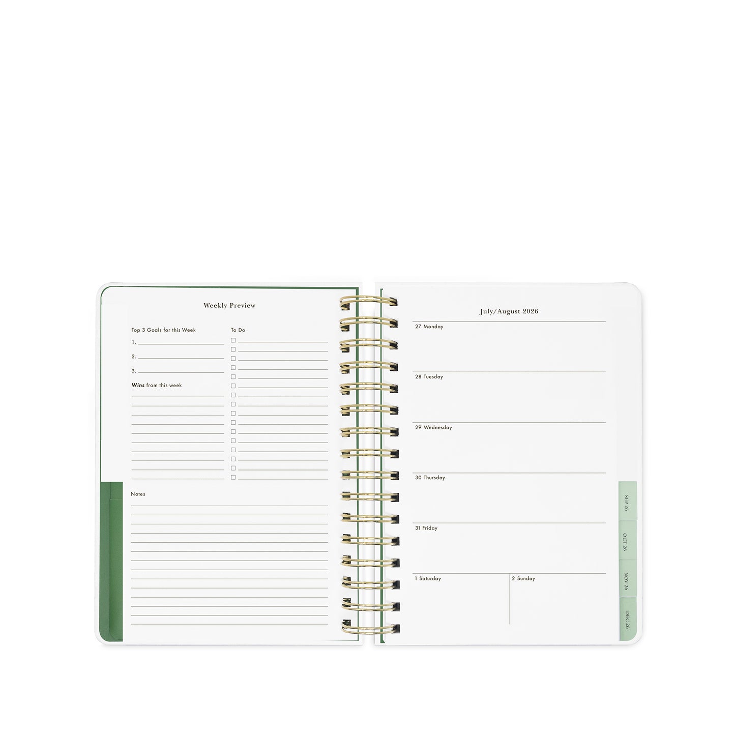 17 Month Large Planner, Green Dot