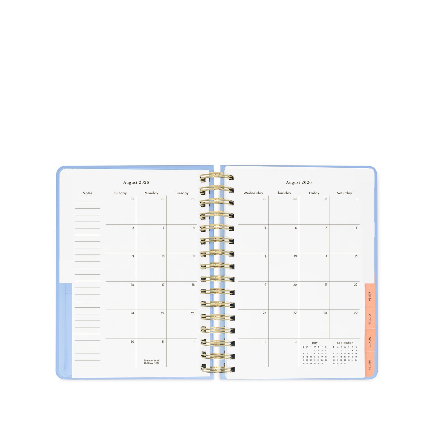 17 Month Large Planner, Plans I may Change