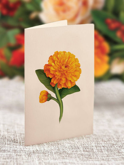 Pumpkin Spice Pop up card