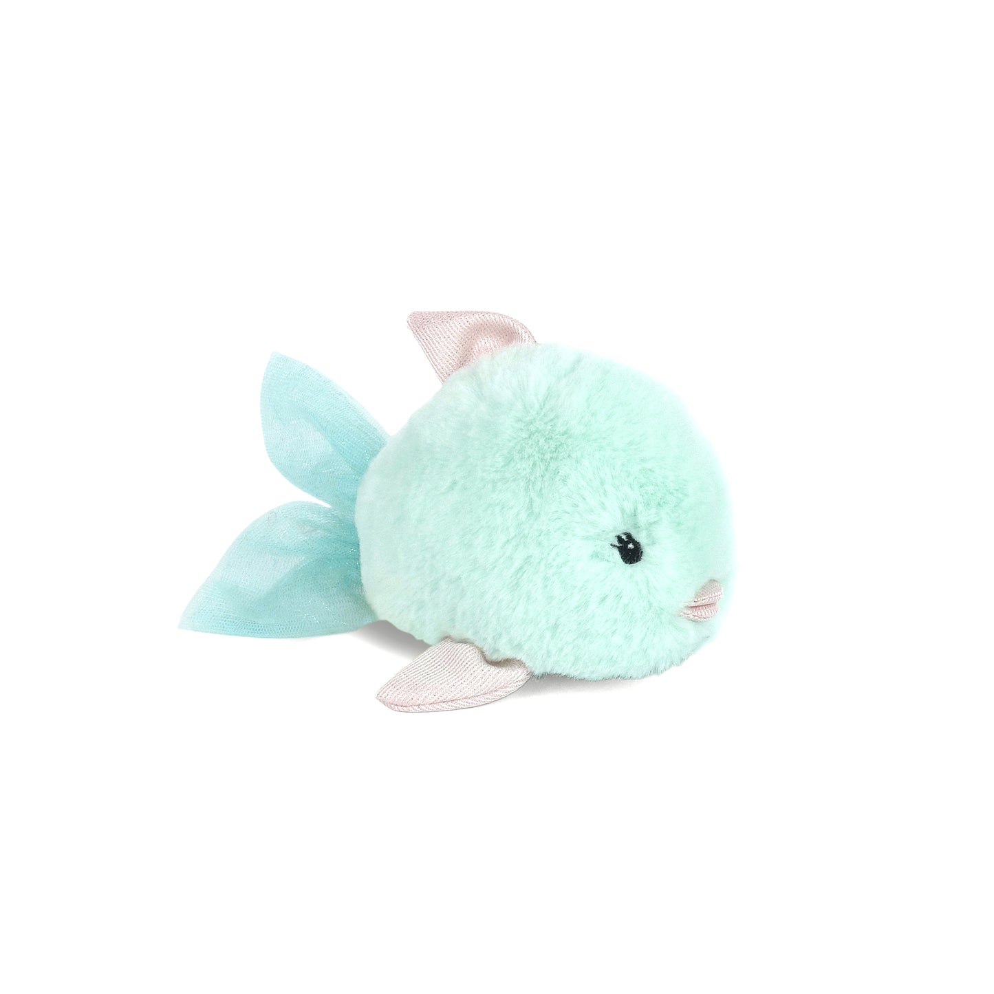 Aqua Angel Fish