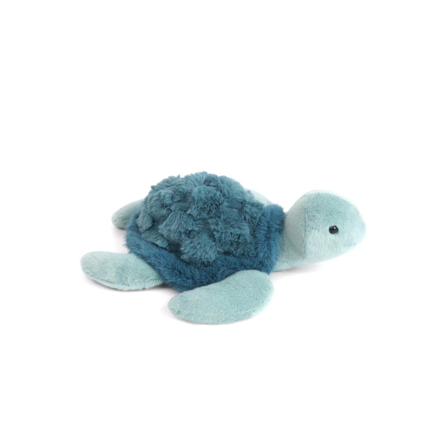 Jet Sea Turtle