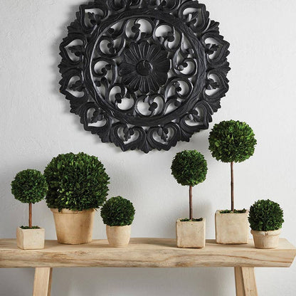 47th & Main (Creative Brands) - Topiary Square Boxwood - Small
