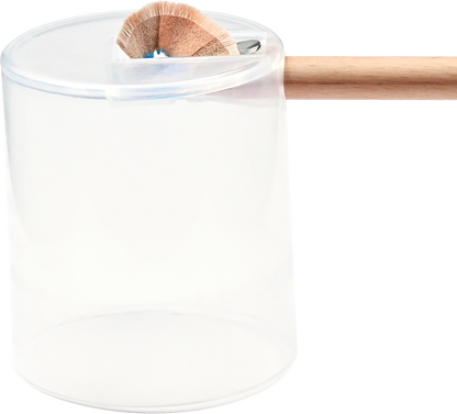 Studio Series Junior Colored Pencils (Set of 24)