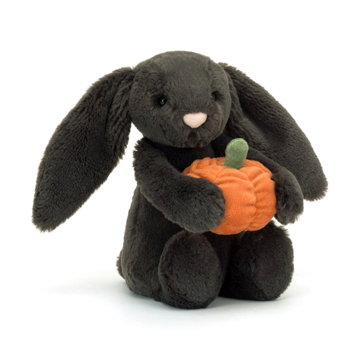 Bashful Pumpkin Bunny Little