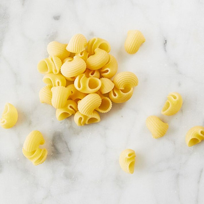 Conchiglie pasta