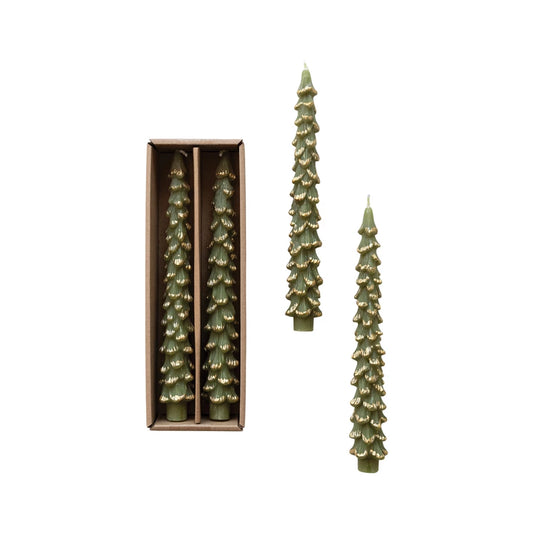 Gold Tipped Evergreen Tree Tapers