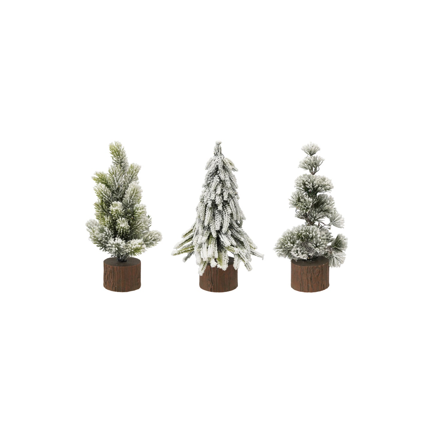 See Michelle - Evergreen Tree