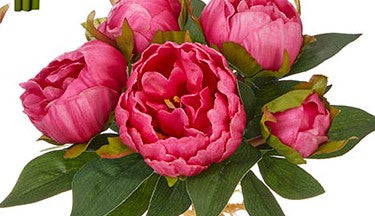 Peony Bundles