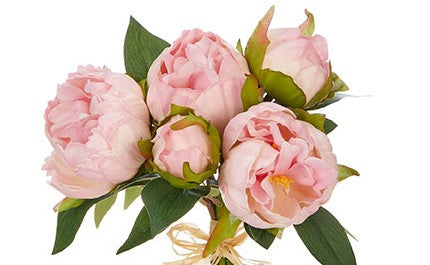 Peony Bundles