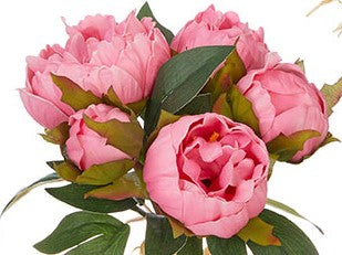 Peony Bundles